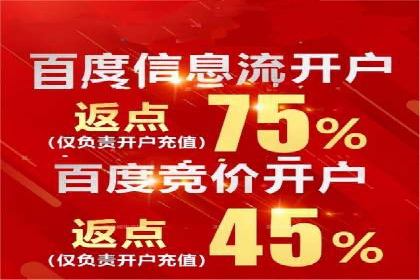 谷歌SEM广告投放的ROI优化：一家科技公司的成功经验